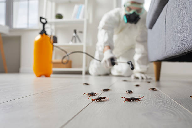Commercial Kitchen Cockroach Control in Smithville